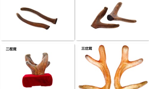 鹿胎膏价格-鹿胎膏通化永基图片网 | 鹿胎膏的坏处,通化永基药业鹿胎膏